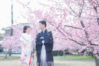 春です♪カウンセリングは何でもご相談ください