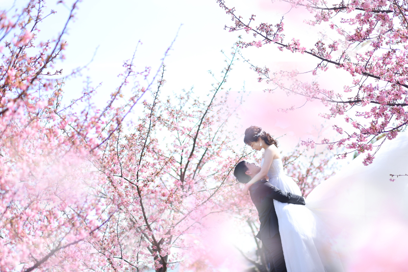 河津桜ロケ前撮り、まだ間に合います！