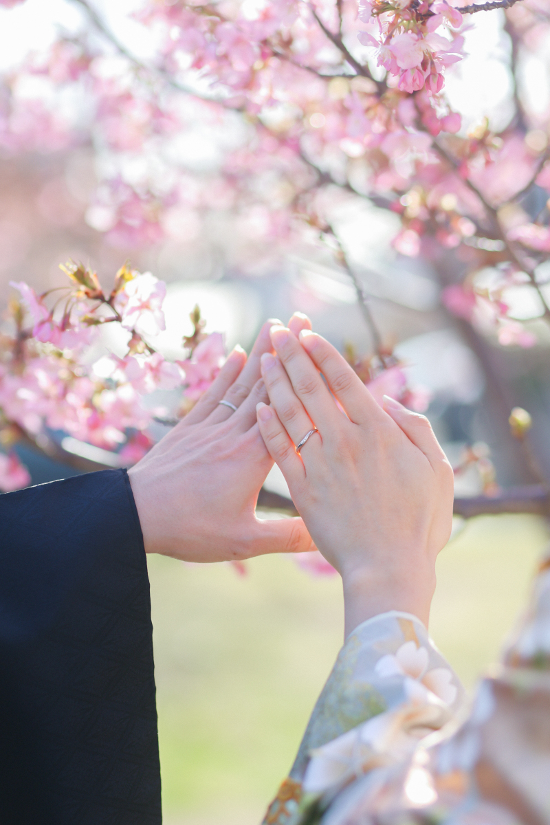 河津桜ロケ前撮り、まだ間に合います！