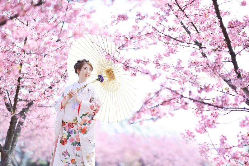 河津桜ロケ前撮り、まだ間に合います！