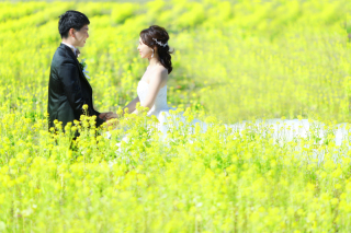 春・初夏の撮影お申込ＳＴＡＲＴ♩