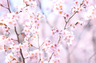 SNSも随時更新しております♩