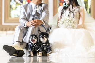 ペットとの撮影②