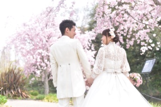 桜ロケーション