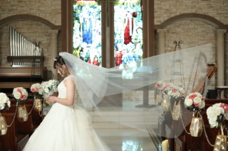 ベールショット