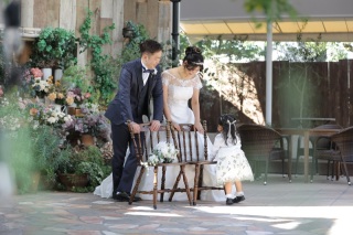 フェア紹介｜3月1日＆2日に開催されるブライダルフェアを一挙ご紹介！