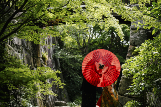 シルエットショット