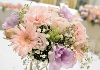 今日はガーベラの日