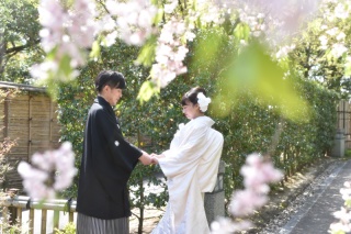 本日は“さくらの日”