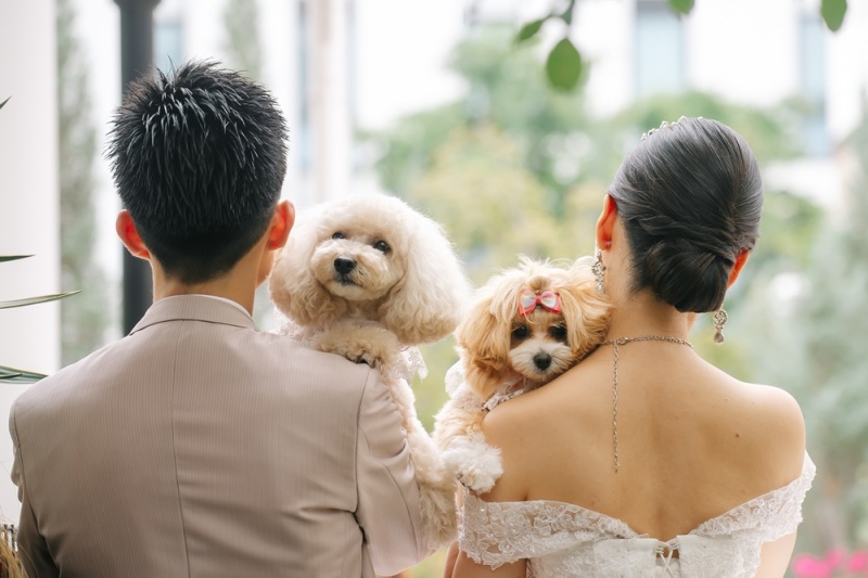 必見！｜ペットと一緒に過ごすたいせつな1日☀