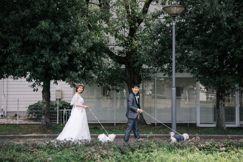 必見！｜ペットと一緒に過ごすたいせつな1日☀