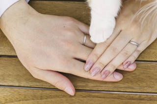 手を重ねたお写真♡