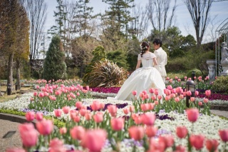 ロケフォト日和