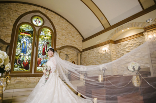 ロングベールショット