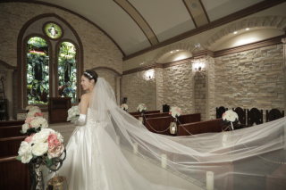 ロングベールショット