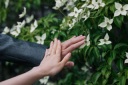 FLEURの魅力|Instagram日々更新しています°˖✧