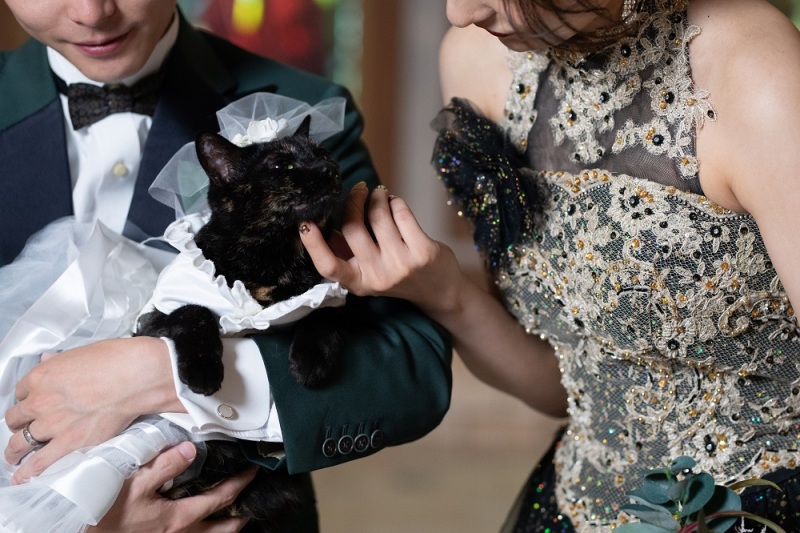 FLEURプラン紹介|わんちゃん、ねこちゃんとフォトウェディングをしませんか?