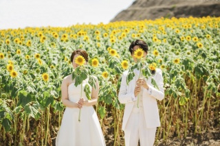 一面のひまわり畑でロケーション撮影➀