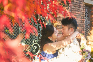 紅葉の季節がきます!