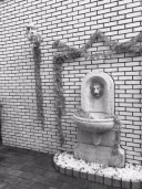 ③NEWシーンを少しだけご紹介✨