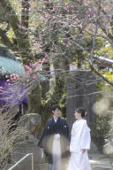 和装ロケ