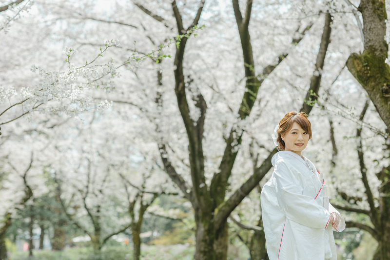 桜満開
