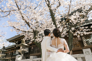 桜×ドレス×大阪天満宮
