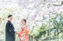 桜フォト＊限定プラン、残枠わずかです！