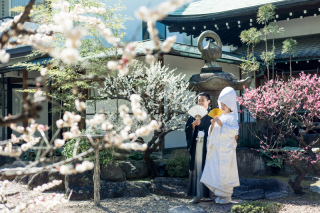 梅の時期がやってまいります！