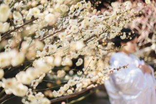 梅の季節がやってきました★