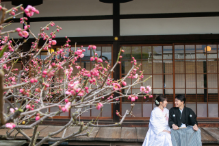 もうすぐ梅の季節・・・★