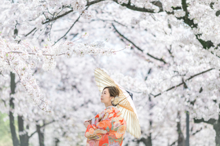 桜ロケーションフォトのご予約も開始しております!