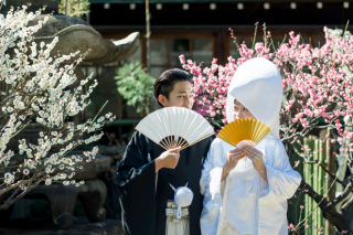 梅の時期も終わりましたが・・