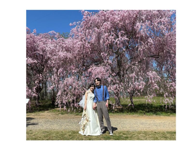 満開のサクラ撮影