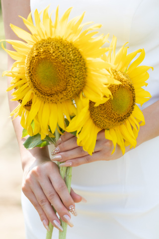 ＊8月の週末来店＆オンライン相談会＊