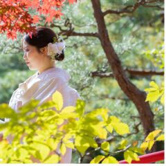 紅葉フォトウエディングご予約受付中!