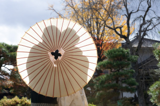 【更新】＊10月の週末来店＆オンライン相談会＊