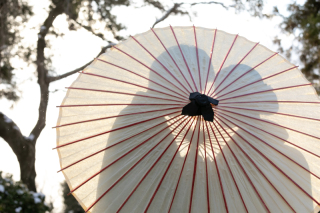 ◇ロケの魅力を解説!◇真冬の幻想的な日本庭園