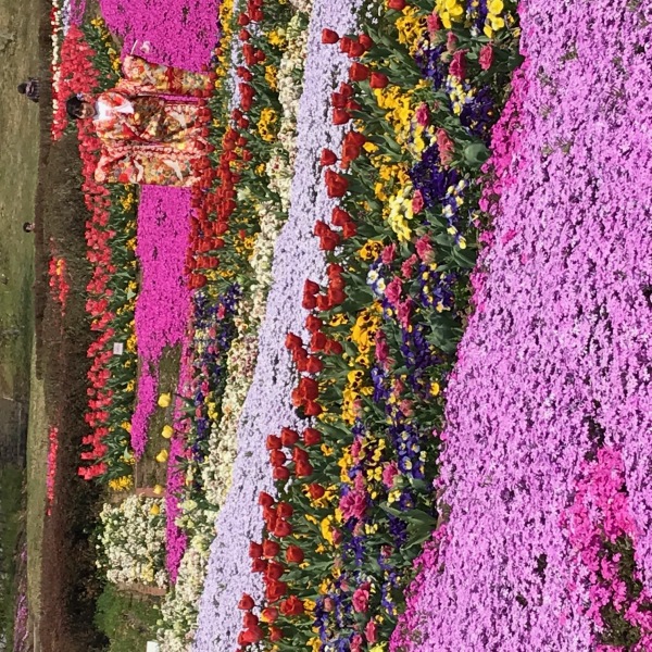 【人気ロケ地5選！】