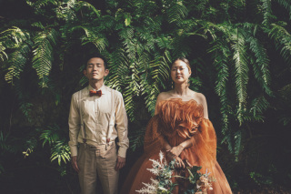 本日は臨時休業です