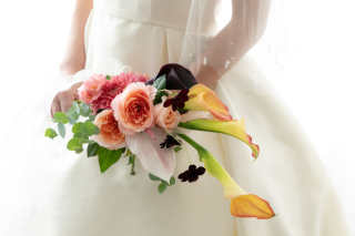 《12月ご来店相談キャンペーンをご紹介♪》