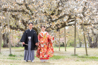❁残り枠わずか!【ロケ5万割り】桜モニターキャンペーン!のご案内♪