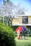 春までもう少し