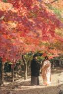 ✧最新　紅葉ロケーション✧