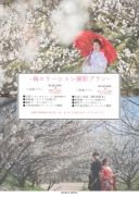 梅ロケーション撮影プラン