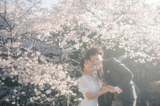 桜撮影受付中☆