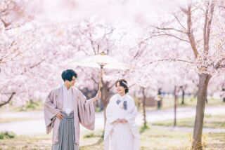 【土日祝限定開催！】春のフォトウェディングエキスポ