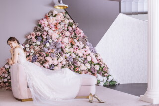 【✧2月撮影空き状況✧】