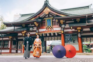 【桜ロケーション撮影】　赤坂日枝神社
