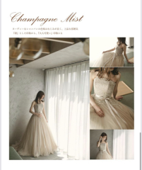 オーバーカラードレス